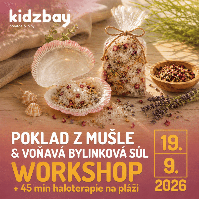 WORKSHOP: 19.9. POKLAD Z MUŠLE & VOŇAVÁ BYLINKOVÁ SŮL + 45 min haloterapie na pláži (14:00-15:30)